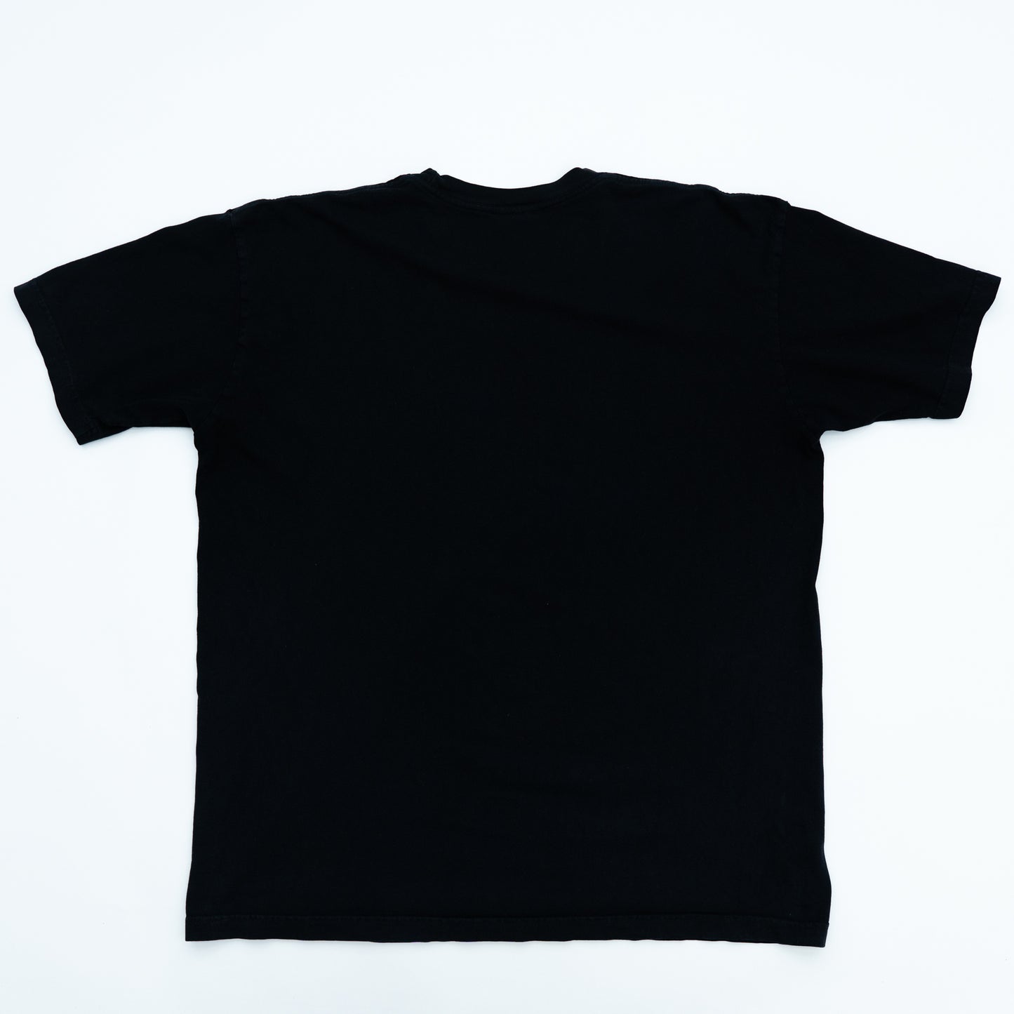 Nothing to Lose But Your Mind Tee