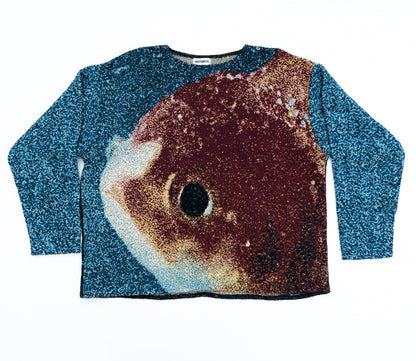 Vince Staples Big Fish Theory Sweater